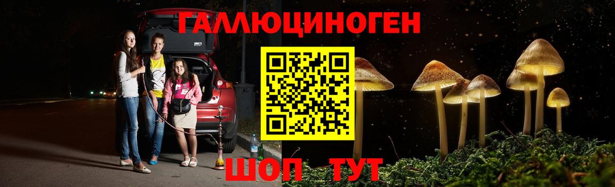 Псилоцибиновые грибы GOLDEN TEACHER Рыбинск