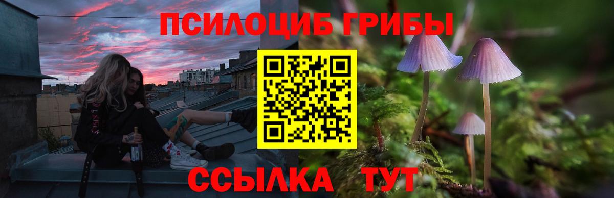 Рыбинск  Галлюциногенные грибы MAGIC MUSHROOMS  Вход с VPN 